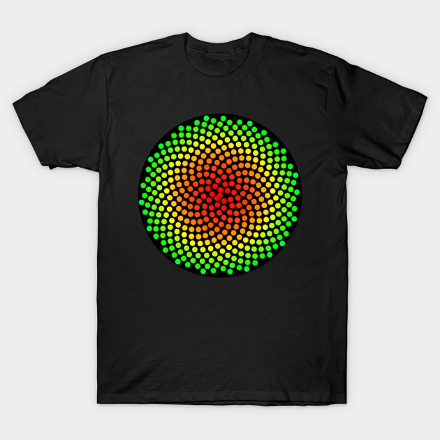 Phyllotaxis-004 T-Shirt by rupertrussell